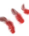 Guinea Plumage Loose 1/8 oz