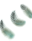 Guinea Plumage Loose 1/8 oz