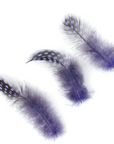 Guinea Plumage Loose 1/8 oz