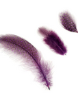Guinea Plumage Loose 1/8 oz