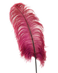 Ostrich Feather X-Large Herl 1 pc