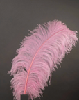 Ostrich Feather X-Large Herl 1 pc