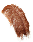 Ostrich Feather X-Large Herl 1 pc