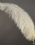 Ostrich Feather X-Large Herl 1 pc