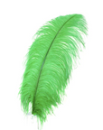 Ostrich Feather X-Large Herl 1 pc