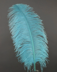Ostrich Feather X-Large Herl 1 pc
