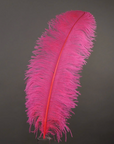 Ostrich Feather X-Large Herl 1 pc