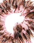 Rooster Saddle Hackle Cream Striped Strung 2 inch strip