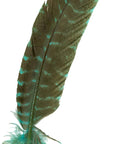 Turkey Quills Barred Selected Pairs 2pc