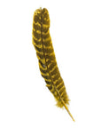 Turkey Quills Barred Selected Pairs 2pc