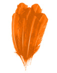 Turkey Quill with Cut Top Selected Pairs 2pc