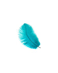 Ostrich Drab Feather Small 1 pc