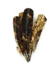 Turkey Quills Tie Dyed Selected Pairs 2pc
