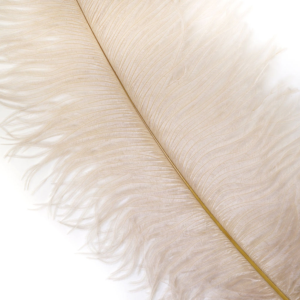 Ostrich Drab Feather Large 1 pc – MarabouBrothers