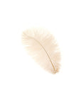 Ostrich Drab Feather Medium 1 pc