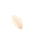 Ostrich Drab Feather Small 1 pc