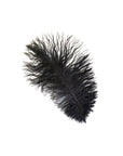 Ostrich Drab Feather Medium 1 pc