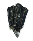Turkey Quills Tie Dyed Selected Pairs 2pc