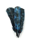 Turkey Quills Tie Dyed Selected Pairs 2pc