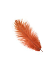 Ostrich Drab Feather Medium 1 pc