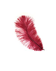 Ostrich Drab Feather Medium 1 pc
