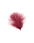 Ostrich Drab Feather Small 1 pc
