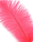 Ostrich Drab Feather Medium 1 pc
