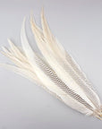 Pheasant Silver Tail Selected 1 pc