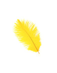 Ostrich Drab Feather Medium 1 pc