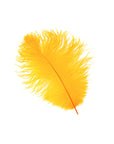 Ostrich Drab Feather Medium 1 pc