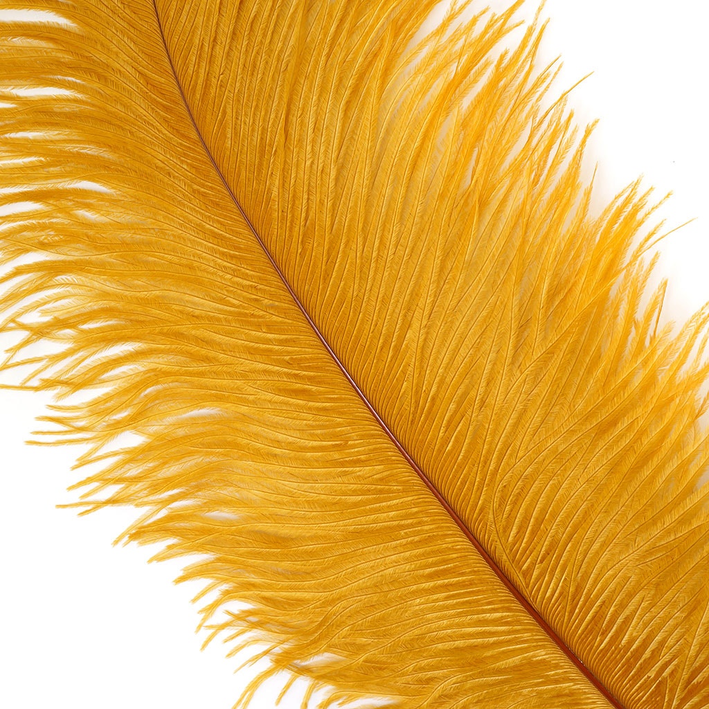 Ostrich Drab Feather Large 1 pc – MarabouBrothers