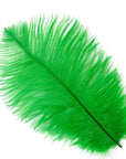 Ostrich Drab Feather Medium 1 pc