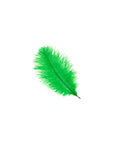 Ostrich Drab Feather Small 1 pc