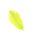 Ostrich Drab Feather Medium 1 pc