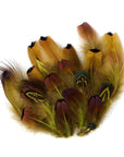 Pheasant Ringneck Heart Plumage Loose 1/4oz