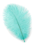 Ostrich Drab Feather Medium 1 pc