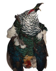 Pheasant Lady Amherst Pelt Selected First Quality (Full)