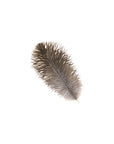 Ostrich Drab Feather Medium 1 pc