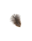 Ostrich Drab Feather Small 1 pc