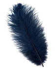 Ostrich Drab Feather Medium 1 pc