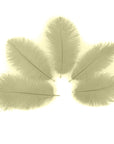 Ostrich Drab Feather Medium 1 pc