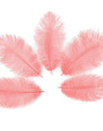 Ostrich Drab Feather Small 1 pc