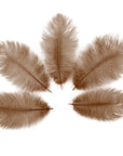 Ostrich Drab Feather Small 1 pc