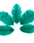 Ostrich Drab Feather Small 1 pc