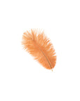 Ostrich Drab Feather Medium 1 pc