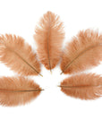 Ostrich Drab Feather Small 1 pc