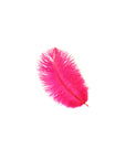 Ostrich Drab Feather Small 1 pc