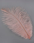 Ostrich Drab Feather Small 1 pc