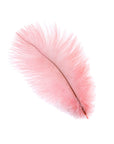 Ostrich Drab Feather Small 1 pc