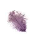 Ostrich Drab Feather Medium 1 pc